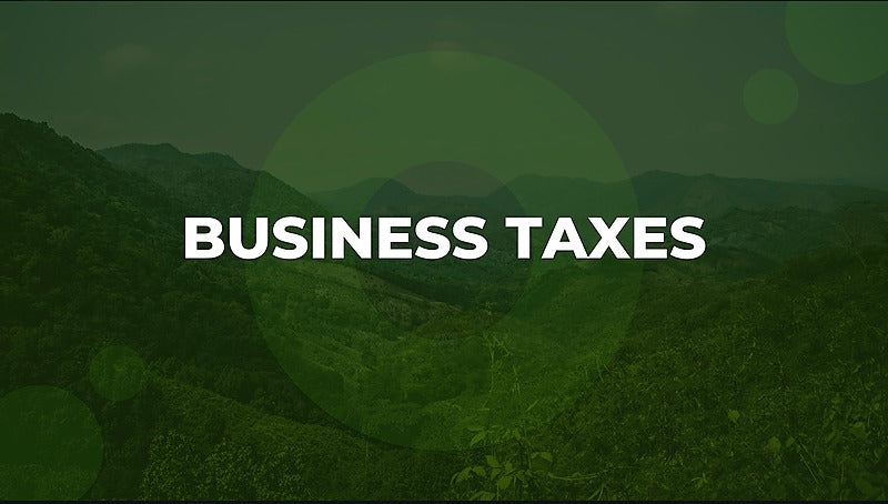 Business Taxes